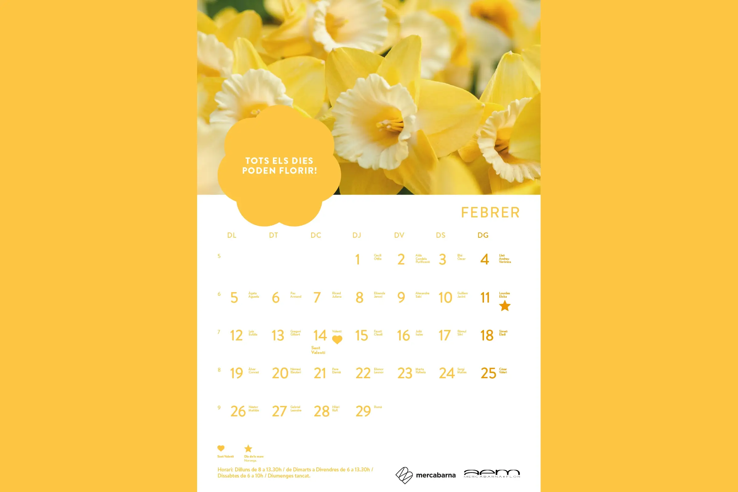 interior-mercabarna-flor-calendario-04