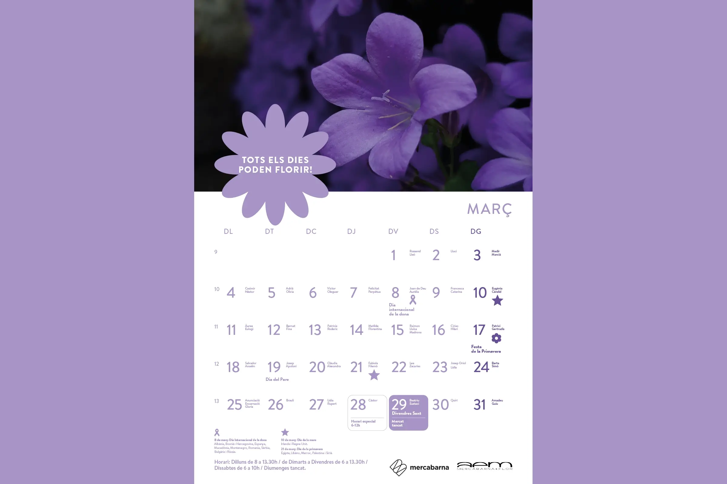 interior-mercabarna-flor-calendario-05