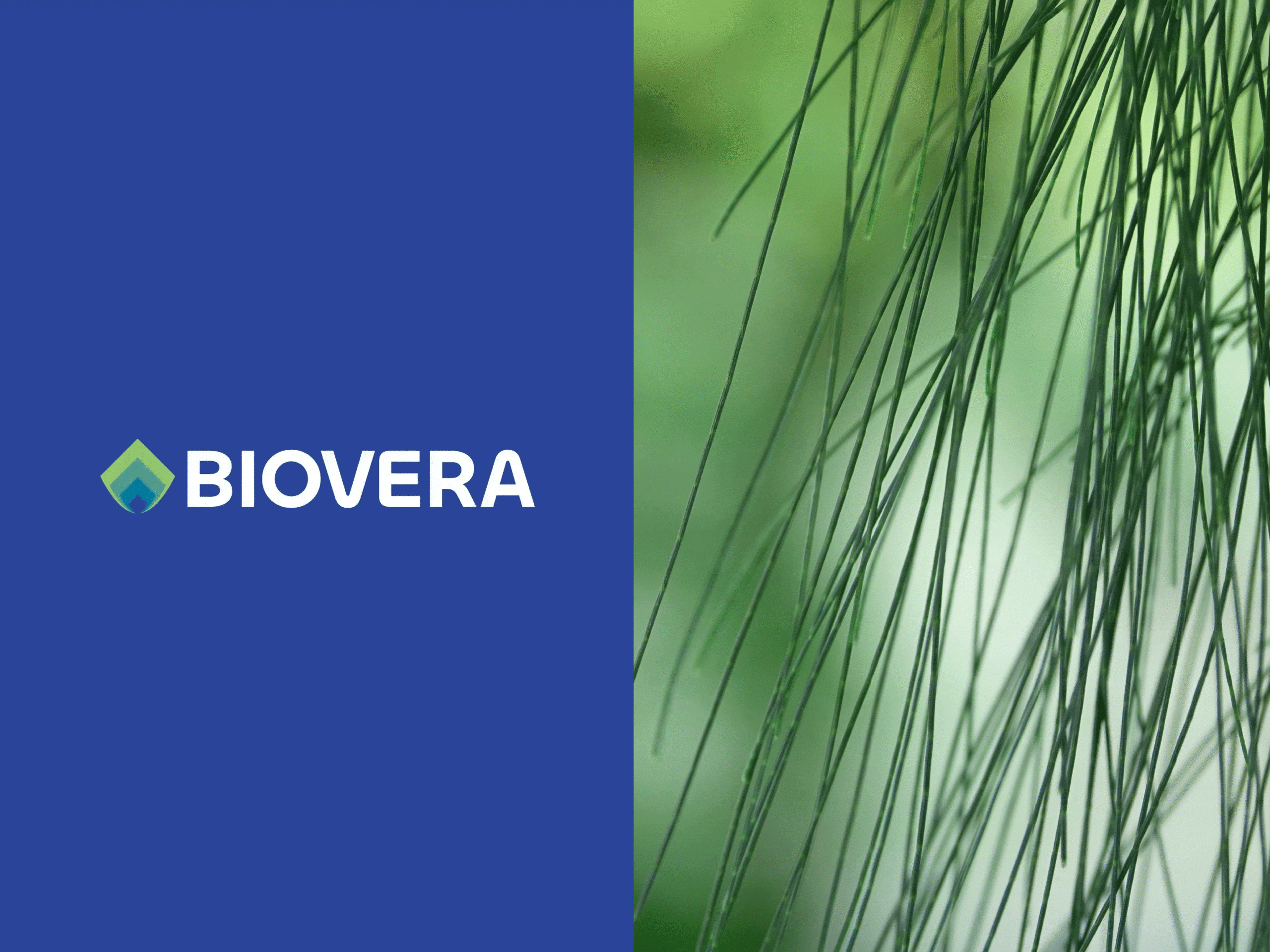 Cetaqua — Proyecto Biovera