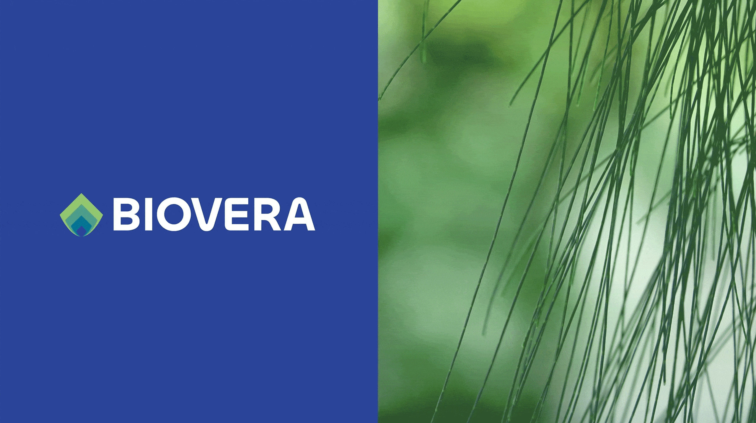 Cetaqua — Proyecto Biovera